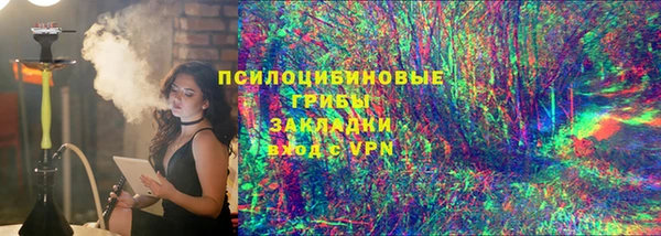 мдпв Арсеньев