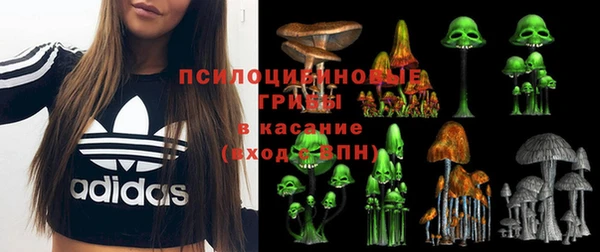 ALPHA PVP Армянск