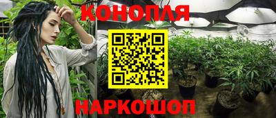 скорость Заводоуковск