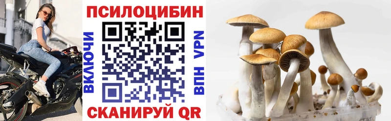 Галлюциногенные грибы MAGIC MUSHROOMS  Кировск 